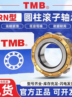 天马减速机偏心轴承RN204 205 206 219 222 228 307 309 310 312M