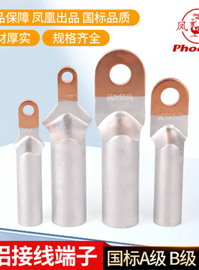 凤凰A级DTL堵油式铜铝接头 DTL-16 25 95 120 240铜铝鼻子 含专票