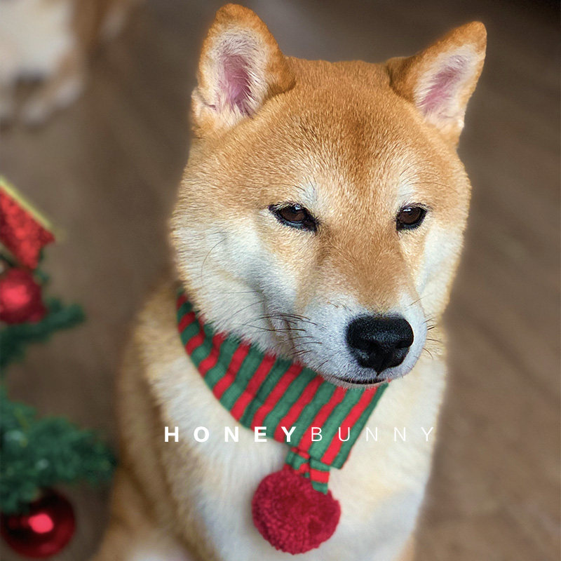 圣诞节猫咪秋冬款围巾狗狗围脖针织毛线宠物饰品泰迪项圈大型犬,宠物/宠物食品及用品,围巾/口水巾,淘宝优惠券,粉丝福利购,淘宝优惠卷