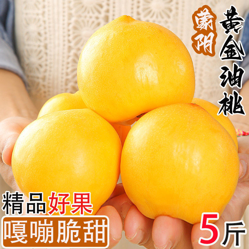 蒙阴黄金油桃新鲜水果5斤黄油桃当季整箱黄桃应季农家桃子现摘