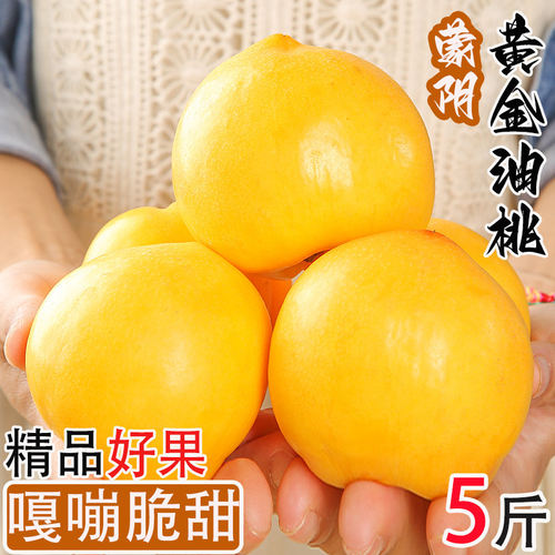 蒙阴黄金油桃新鲜水果5斤黄油桃当季整箱黄桃应季农家桃子现摘
