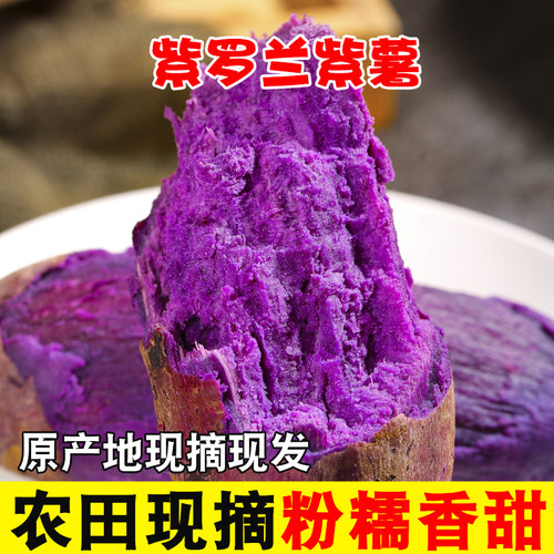 沙地紫薯紫红薯紫罗兰领券烟薯