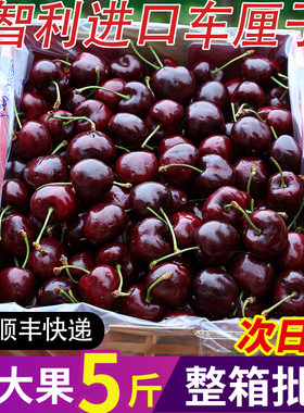 智利进口车厘子5斤新鲜水果当季大樱桃黑珍珠孕妇整箱桑提娜包邮