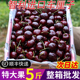 包邮 智利进口车厘子5斤新鲜水果当季 大樱桃黑珍珠孕妇整箱桑提娜