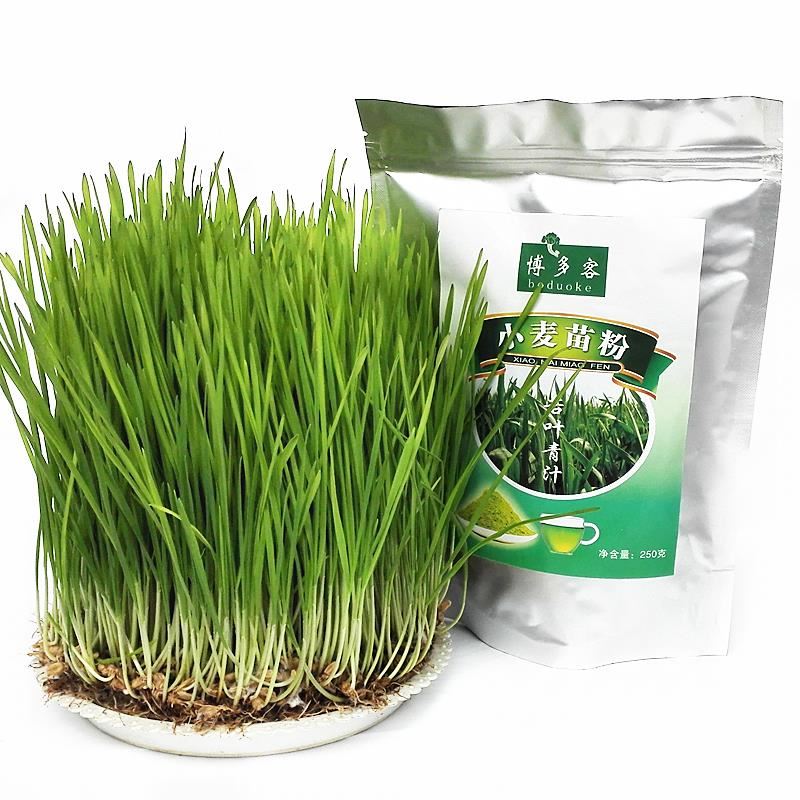 小麦苗粉若叶青汁粉 500g 清汁 小麦草非蚂蚁大麦绿素农场 买3赠1在类目 咖啡/麦片/冲饮, 天然粉粉食品中 - 来自Buy2taobao.com提供专业的淘宝代购服务