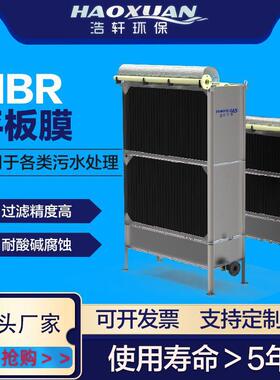 源头工厂污水处理PVDF浸没式MBR平板膜组件