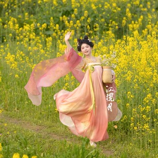 花神汉服女绝美唐制桃花粉色中国风裙宫廷一片式齐胸襦裙中国古装