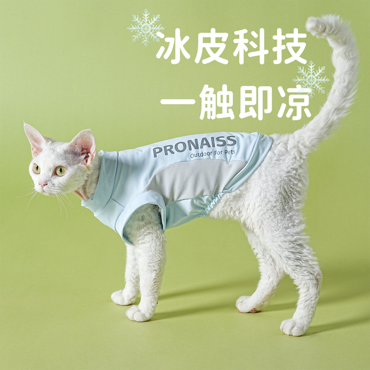 猫咪衣服夏季透气防掉毛薄款德文布偶防晒凉感降温冰丝宠物凉凉衣图片