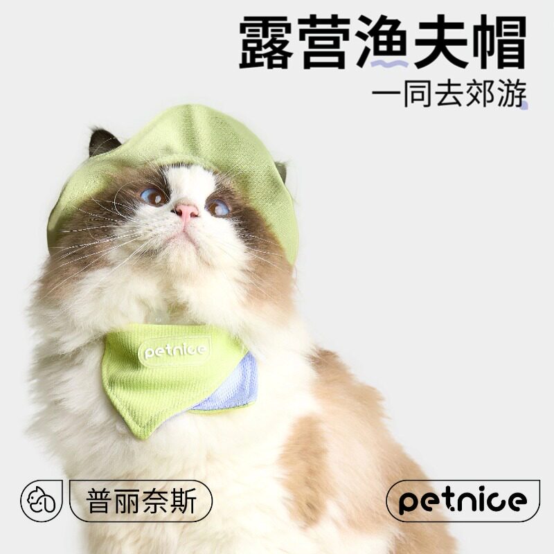 小猫帽子露耳朵小型犬渔夫帽