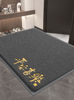 入户门地垫2025新款防滑免洗地毯丝圈脚垫家用进门垫子大门口门垫