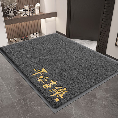 地垫入户门垫丝圈防滑门口地毯