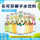 5瓶装 泰国进口乐可芬椰子水饮料含椰果椰汁饮料 290ml 多口味