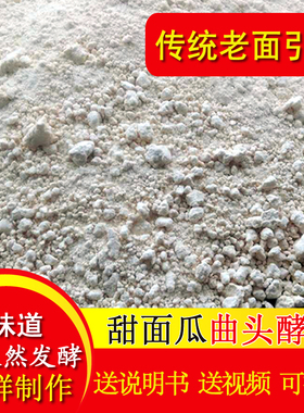 老面酵子面瓜曲头酵引子老面馒头包子发酵引子酵头面肥天然酵母粉