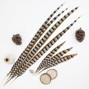 戏曲翎子翎毛孙悟空俏花旦京剧京戏演出天然野鸡毛超长雉鸡翎羽长