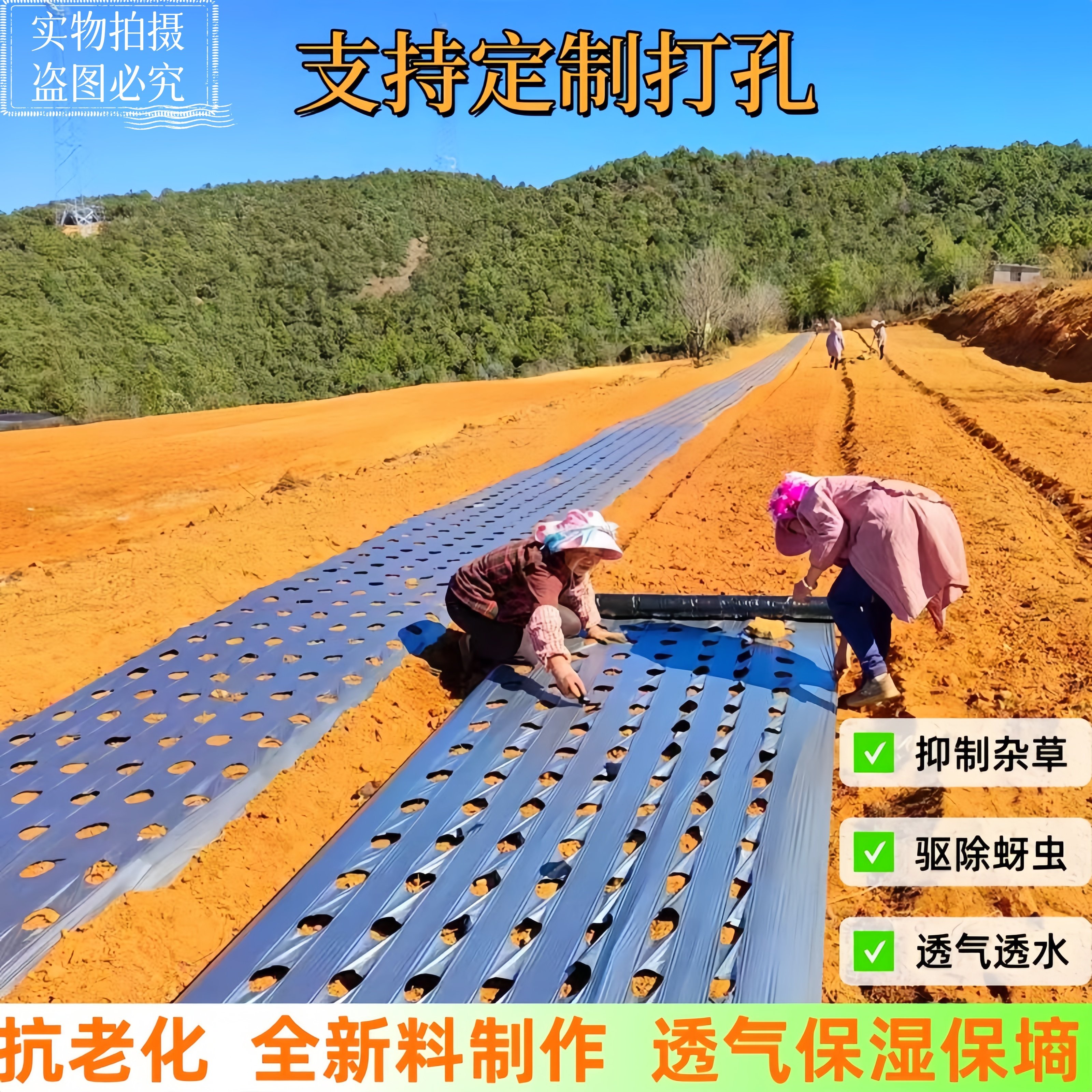银黑双色反光开孔打孔地膜蔬菜药材不长草莓专用带孔地膜定制打孔,农机/农具/农膜,农用薄膜,淘宝优惠券,粉丝福利购,淘宝优惠卷