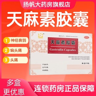 SUCCHI/三才集团天麻素胶囊 50mg*20粒/盒 偏头痛头痛神经衰弱D