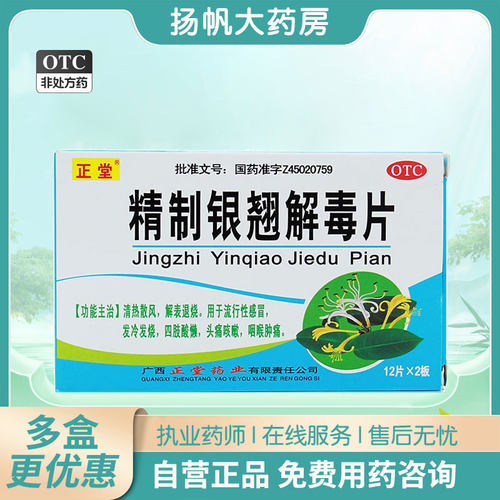 【正堂】精制银翘解毒片44mg*24片/盒
