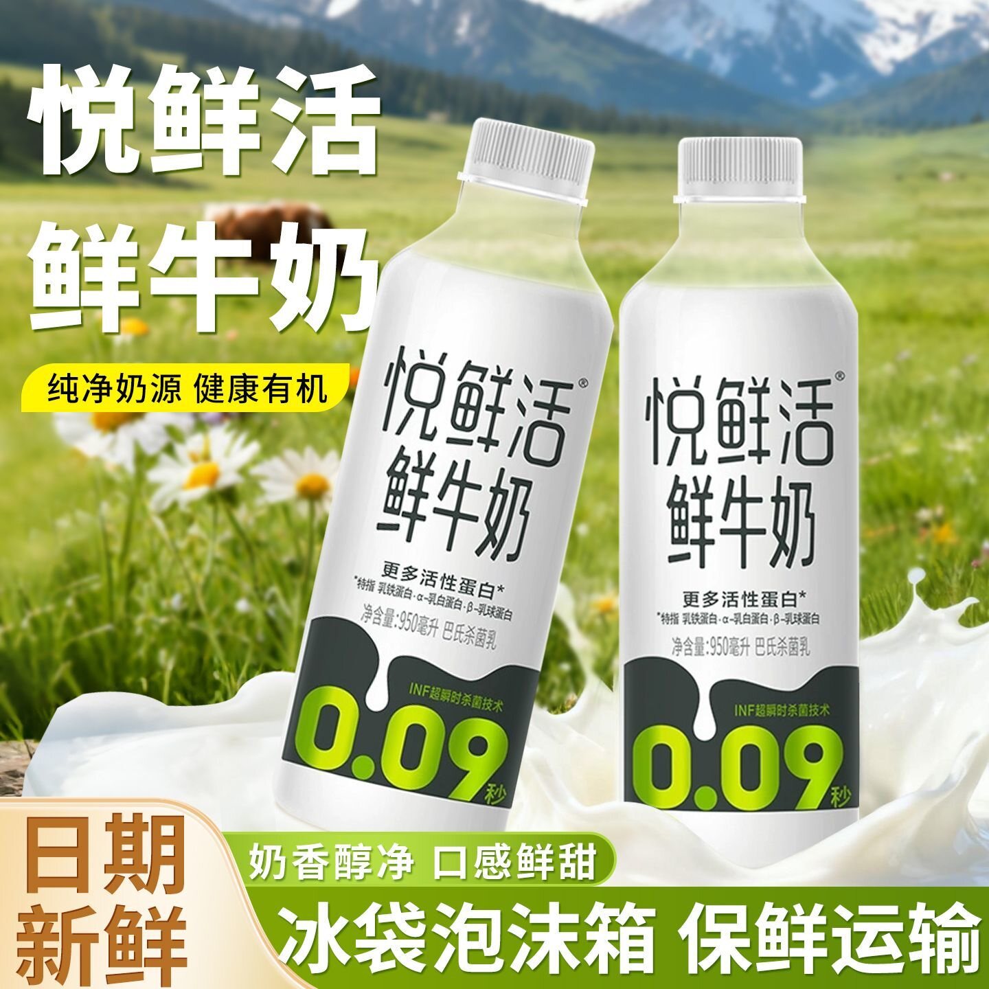 君乐宝悦鲜活低温鲜牛奶260ml