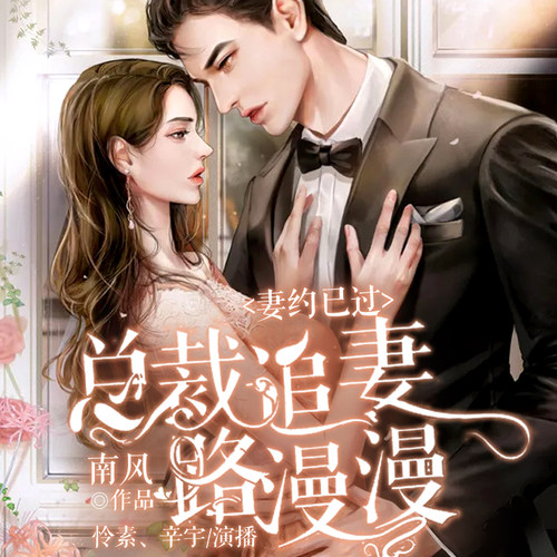 妻约已过总裁追妻路 非实体书  【天猫精灵有声内容】
