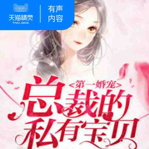 【天猫精灵有声内容】第一婚宠：总裁的私有宝贝