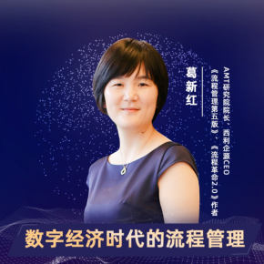 【天猫精灵有声内容，非实体书】喜马拉雅精选内容，葛新红：数字经济时代的流程管理