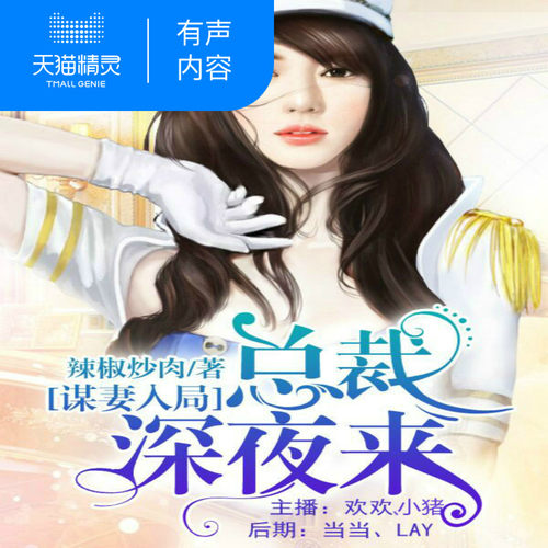 【天猫精灵有声内容】谋妻入局总裁深夜来