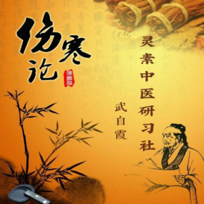 【单篇付费】【天猫精灵有声内容，非实体书】喜马拉雅精选内容，经解《伤寒论》 单篇付费内容不支持在淘宝购买