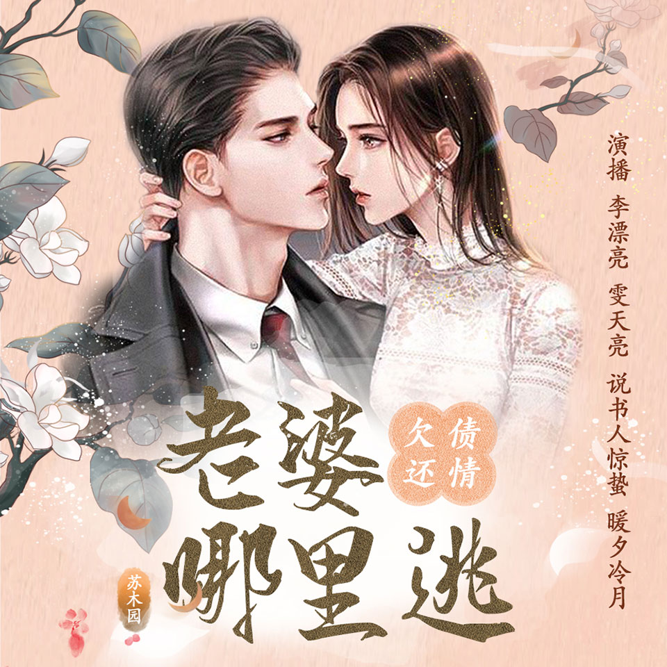 欠债还情之老婆往哪逃 非实体书  【天猫精灵有声内容】