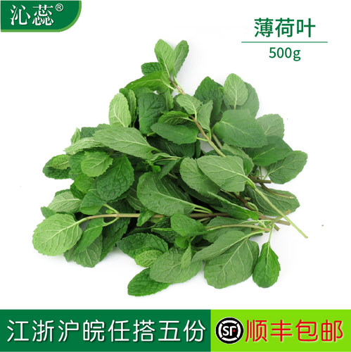 【沁蕊】新鲜薄荷叶食用西餐