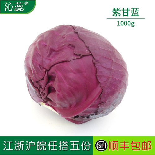 新鲜沁蕊球生菜1000g左右紫甘蓝
