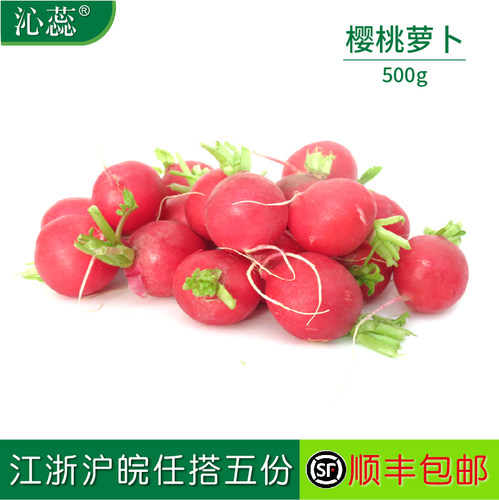 新鲜500g迷你小红樱桃萝卜