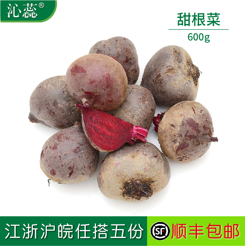 沁蕊新鲜紫菜600g根菜甜菜根