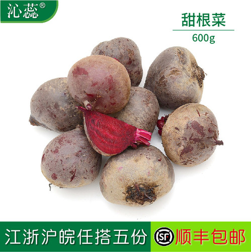 沁蕊新鲜紫菜600g根菜甜菜根