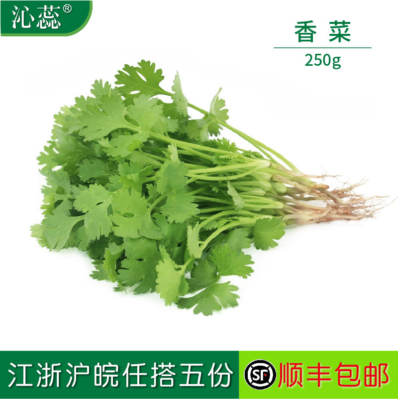 【沁蕊】 新鲜蔬菜 香菜 芫荽 250g,水产肉类/新鲜蔬果/熟食,其它,淘宝优惠券,粉丝福利购,淘宝优惠卷