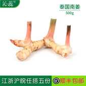 泰餐香料泰南姜高良姜冬阴功新鲜南姜 新鲜泰国南姜500g 沁蕊