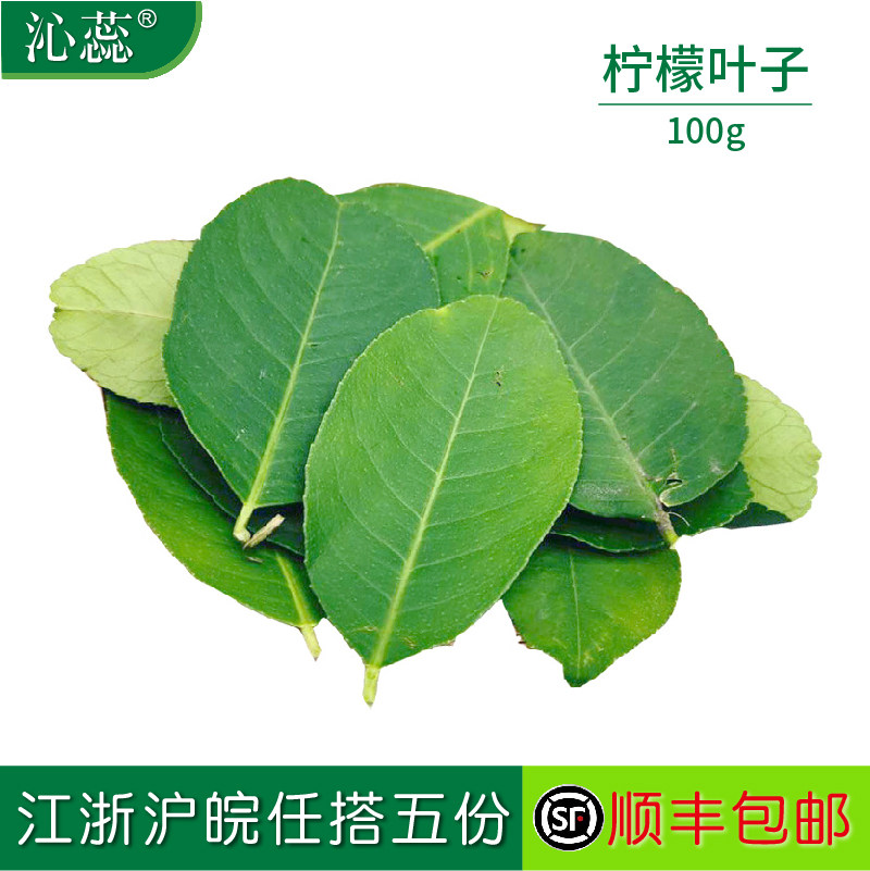 【沁蕊】新鲜去枝柠檬叶纯叶片香料料理腌制烹饪调料冬阴功汤料