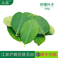 【沁蕊】新鲜去枝柠檬叶纯叶片香料料理腌制烹饪调料冬阴功汤料