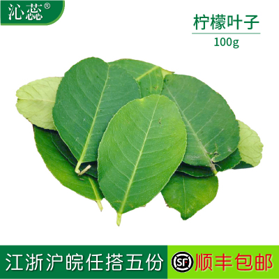【沁蕊】新鲜去枝柠檬叶纯叶片香料料理腌制烹饪调料冬阴功汤料