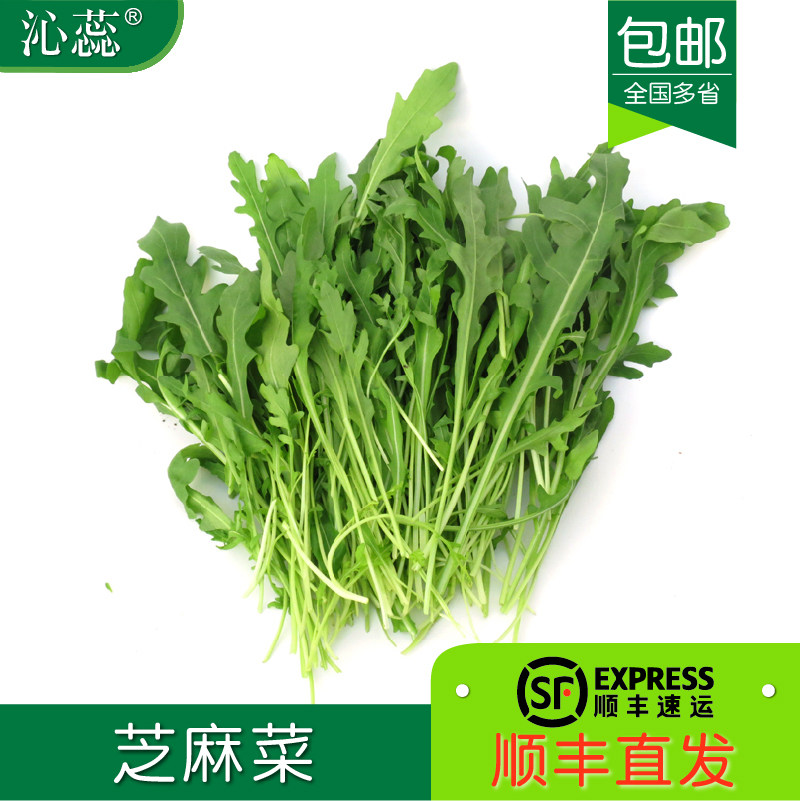 沁蕊新鲜芝麻菜沙拉蔬菜食材