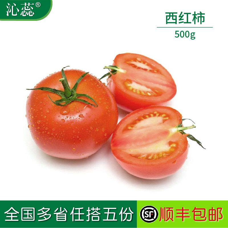 沁蕊新鲜蔬菜西红柿500g