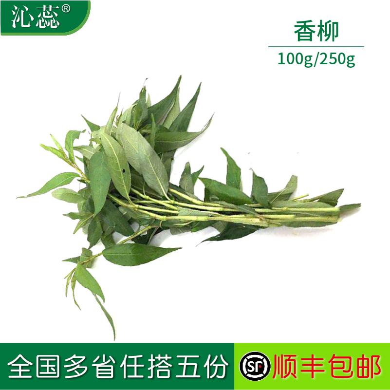 叻沙叶香柳东南亚香料