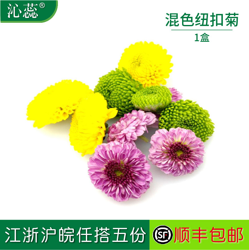 新鲜混色纽扣菊彩色小雏菊1盒酒店餐饮西餐摆盘装饰