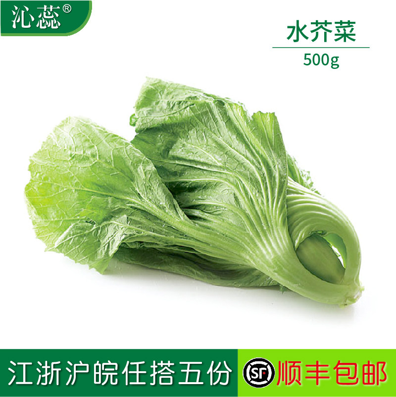 【沁蕊】新鲜芥菜盖菜3斤装新鲜蔬菜农家水东芥菜酸菜