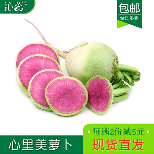新鲜当季青皮多省包邮心里美萝卜