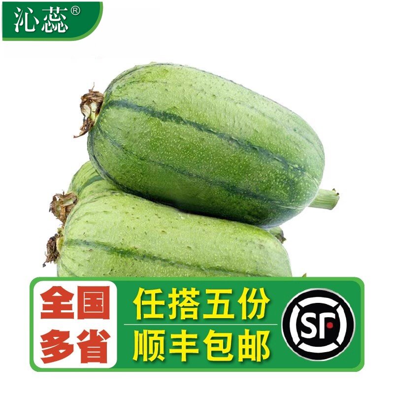 新鲜苹果丝瓜圆胖肉丝瓜甜脆滑嫩