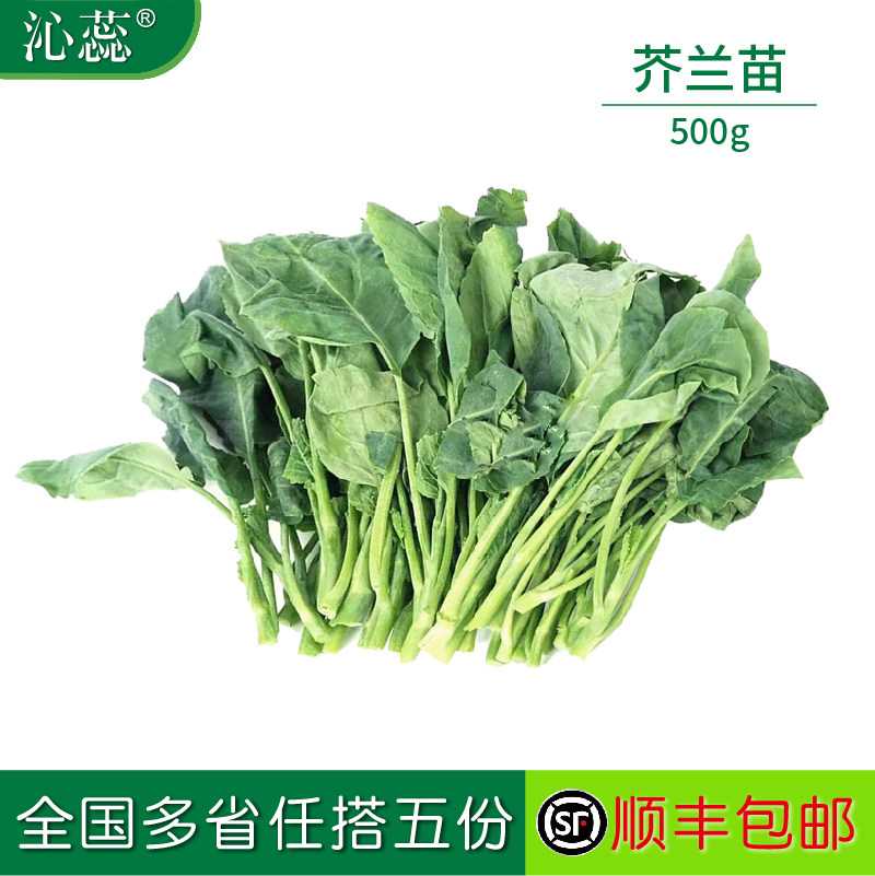 新鲜芥兰苗500g芥兰苗清炒凉拌潮汕火锅蔬菜