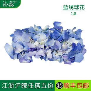 蓝绣球约30朵 沁蕊 绣球花 盒新鲜鲜花