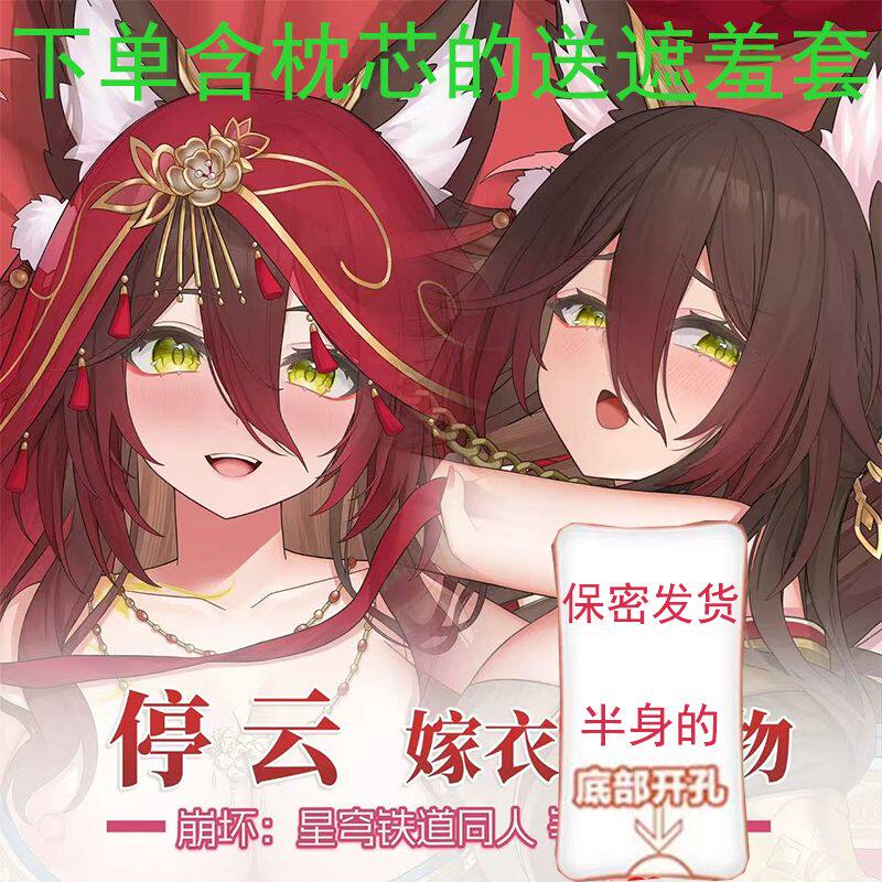 崩坏星穹铁道停云忘归人