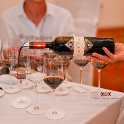 智利Vinedo Chadwick查威克赤霞珠干红葡萄酒201*/2*年随机750ml