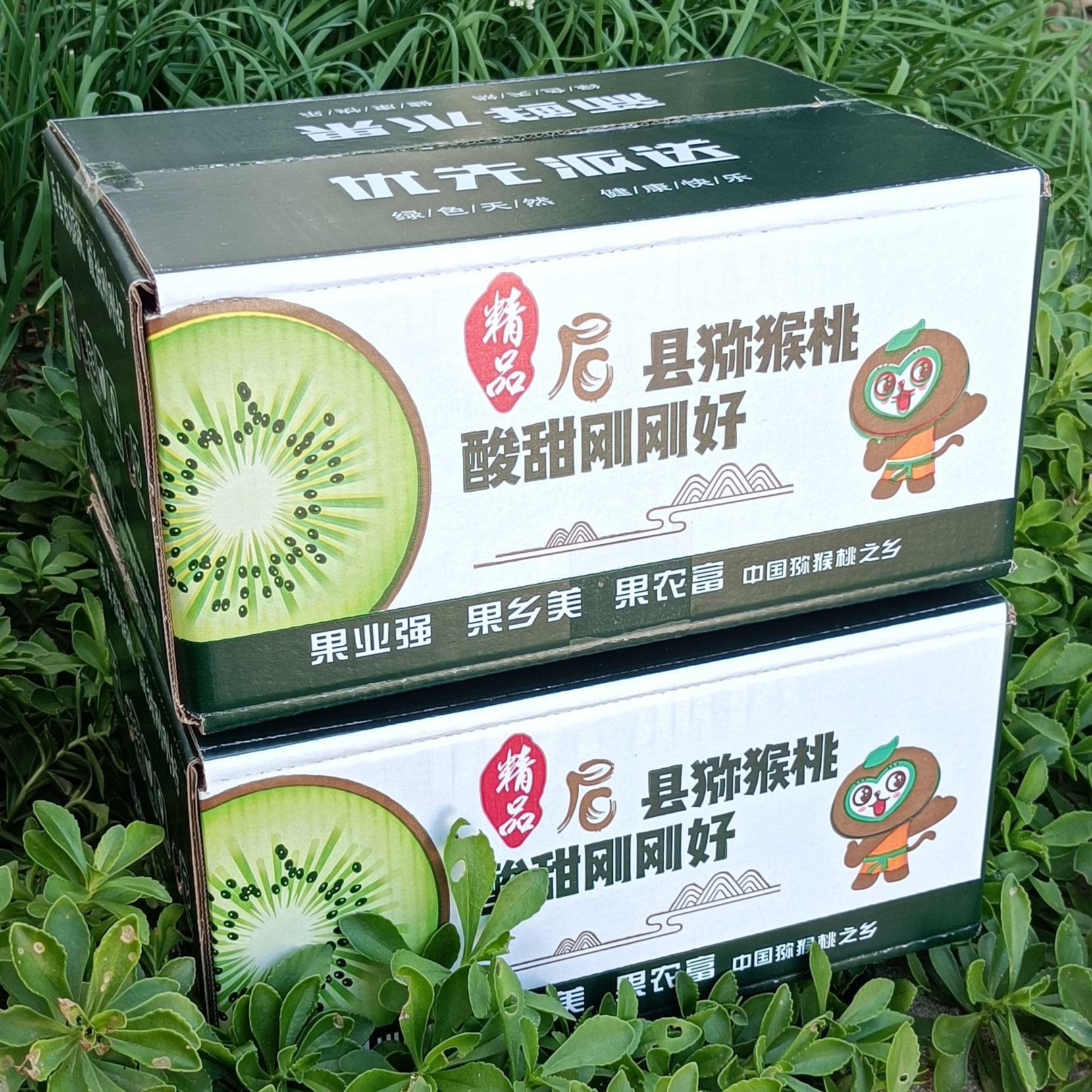 猕猴桃果园新鲜水果当季现摘现发奇异果/猕猴桃